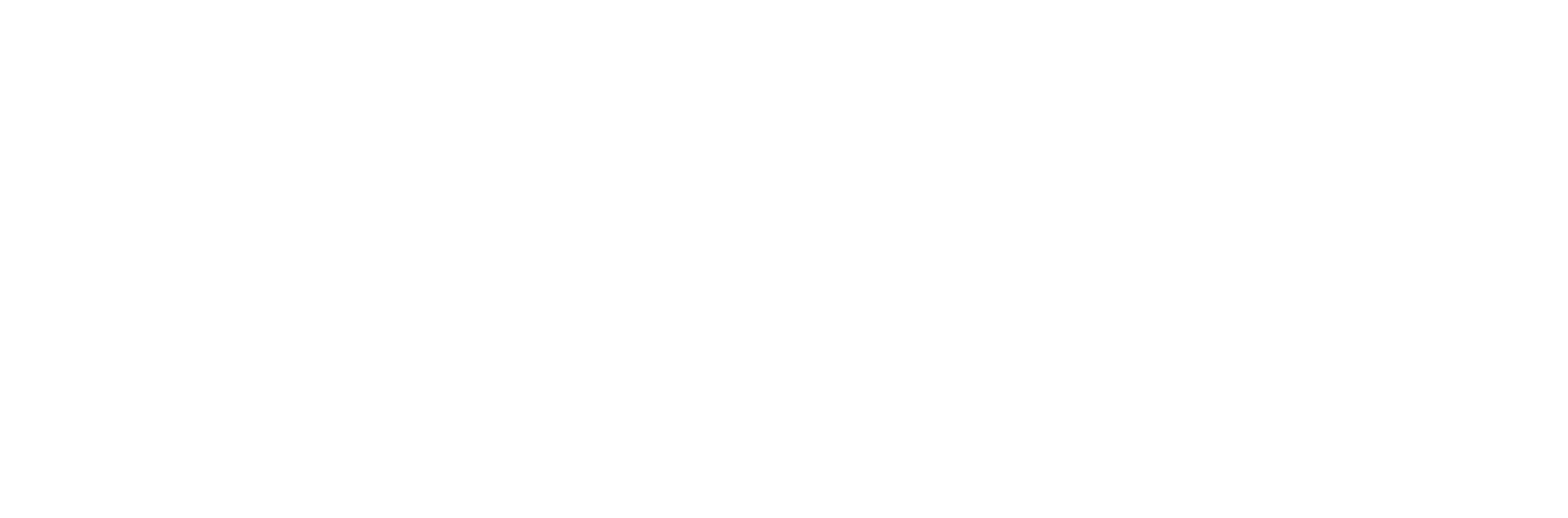 Green rectangular logo with white text that reads "cflo inc.